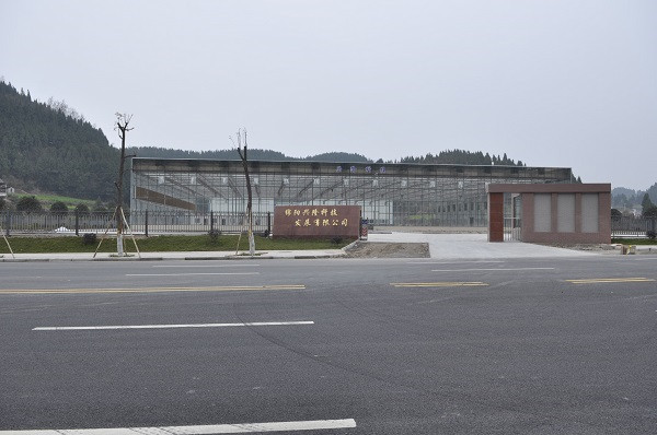 綿陽興隆公司廠房